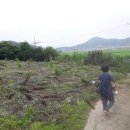 정일품농장 이미지