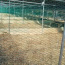 자연같이 팜 이미지