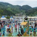 2025년 하동섬진강문화재첩축제! 황금재첩부터 힐링까지 200% 즐기는 완벽 가이드!