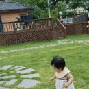 팔봉수피아 이미지