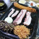 시끌시끌 돼지들 이미지