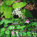 개인약수산방 이미지