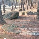 삼거동 고인돌군 네이버블로그