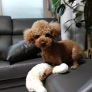 아지공간 이미지