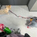 성주성산동고분군전시관 | 20M : 성주 성산동 고분군 전시관 어린이체험실