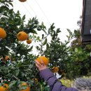 연수네농장 이미지