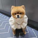 돌아온뚱이