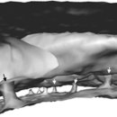 만다라한의원 이미지