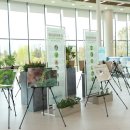 국제자매도시공원 이미지