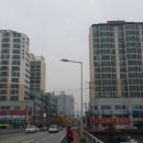 정하건강나라 이미지