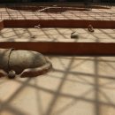 마한문화공원 이미지