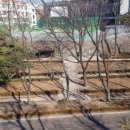 삼선공원 배드민턴장 네이버블로그