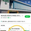 용현농업협동조합 하나로마트 이미지