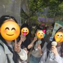 (학교)솔올중 이미지