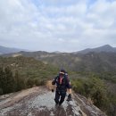 동산사슴목장 이미지