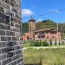 다듬, 강아지미용실 이미지