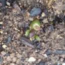 구억농장 이미지