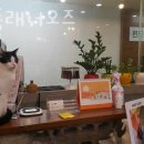 헤어플래너오즈