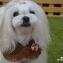 앤비비 이미지