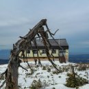 S-0111 | [아오모리-하코다테 여행] 핫코다산 로프웨이, 핫코다산 전망대, 센조지키 해안, 고가네자키 후로후시...