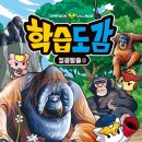 킹콩빌리지
