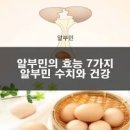 알부민 효능 수치 관리 중요한 이유 이미지