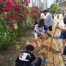 문막초등학교 이미지