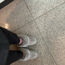 디케이(DK) | 가성비 어그 추천 호주 디케이 DK UGG 코케트 밴딩 슬리퍼 라이트 그레이 후기