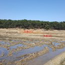 포항시북구54 이미지