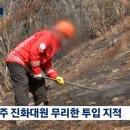피씨케어플러스 이미지