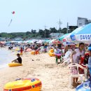 오징어맨손잡기체험 및 구룡포 해변축제 2018 이미지