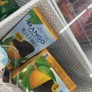 지에스25 주엽본 | GS25 망고초코아이스 실제 먹어본 후기 애슐리 망고샐러드 맛