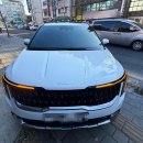 넘버원자동차피부과 영통점 | 수원 권선구 권선동 신차패키지, 더 뉴 카니발 4세대 KA4 신차패키지 후기