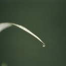 아랫선골 이미지