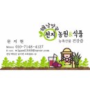 해남땅끝 천지식품 이미지