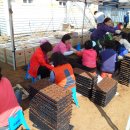 명품꽃마을 이미지