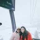 한그루마트. | 서유럽노랑풍선패키지여행, 스위스여행후기,텔키리아드후기(Hotel Kyriad Paris 12),스위스융프라우후기...