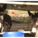 산두른마을 이미지