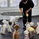 웬만해선 개들을 막을 수 없다 이미지