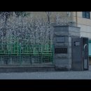 미스백 이미지