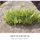 임내숲 | 2022년 제8회 수목관리학 기출문제
