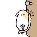 송우현의 파주 국물없는 우동 이미지