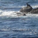 서부골프 이미지