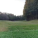 양지-3120 | 양지 파인 CC 골프 라운딩 후기