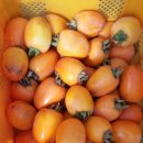 갈마농장 이미지