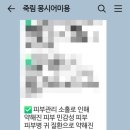 몽시어 네이버블로그