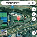 양푼이동태김치찌개