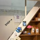 쿠키카페 | 망원역 카페 하코이 귀여운 키티 쿠키 후기