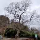 주약초등학교 앞 이미지