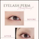 세인자연 이미지